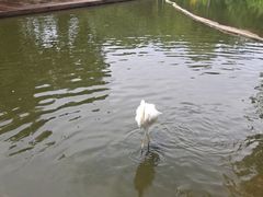-海南热带野生动植物园