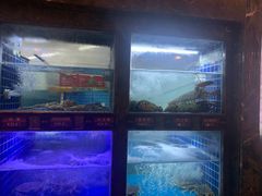 -箸福·夜上海(雨花客厅店)