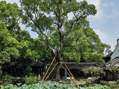 -上海醉白池公园