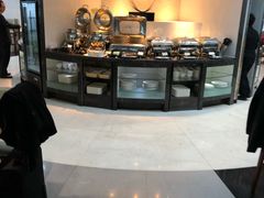 -虹桥机场国航贵宾室v8