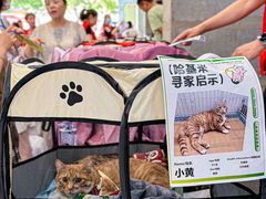 -开元商城(西旺店)