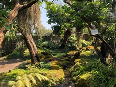 -Chom Cafe and Restaurant