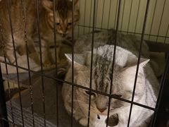 -H立方实景剧情密室(天河旗舰店)
