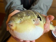 -永安鱼庄·镇江菜(丁卯店)