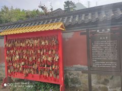 -阳台山自然风景区