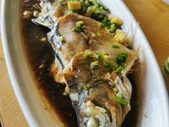 清蒸白鱼-宾湖农庄·农场特色(太湖龙之梦店)