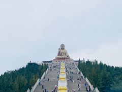 -龙口南山旅游景区