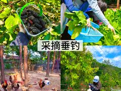 -阳澄湖半岛旅游度假区