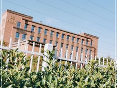 -上海国际旅行卫生保健中心(浦东分中心)