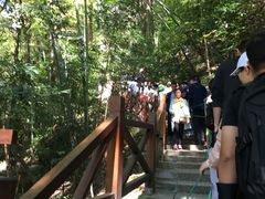 -雁荡山风景名胜区-小龙湫