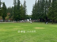 -黄海国家森林公园