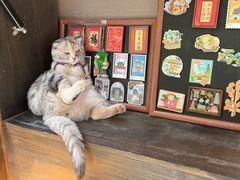 -唐猫庭院·千年陕菜(赛格国际购物中心店)