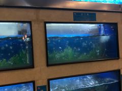 水产区-孙府大院(步行街店)