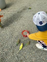 -萌宠亲子动物乐园(槐房万达店)