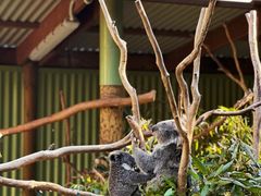 -费瑟代尔野生动物园