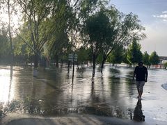 -永定河休闲森林公园