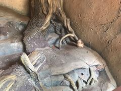 -北戴河集发农业梦想王国