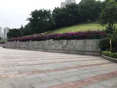 -龙头寺公园