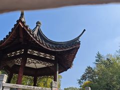 -汇龙潭