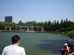 -大兴滨河森林公园