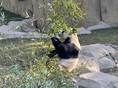 -上海野生动物园