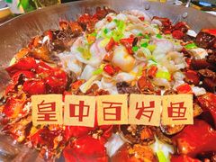-皇中百岁鱼(西兰路店)