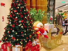 -深圳星河丽思卡尔顿酒店