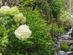 -MOJ coffee(瓯海泽雅水碓坑店)