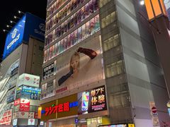 -秋叶原电器街