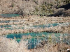 -九寨沟-树正沟