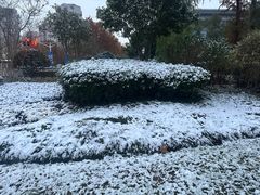 -链家(虹苑新寓店)