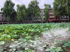 -四川大学(望江校区)
