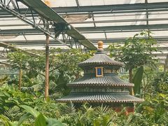 -南宫五洲植物乐园