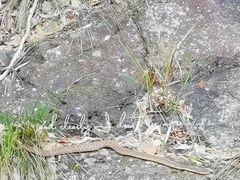 -长谷洞天