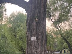 -万泉公园