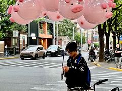 -WHEN PIGS FLY当猪飞