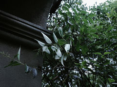 -蠡湖中央公园