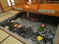 -汤泉良子(金源店)