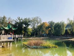 -莲湖公园