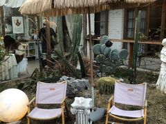-Jo's Garden
