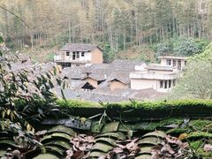 -杨家堂村