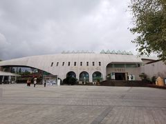 -自贡恐龙博物馆