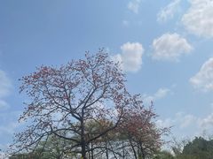-晓港公园