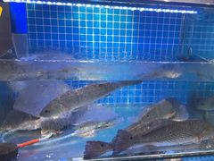 -前王院•巧克力海鲜市集餐厅(万平口店)