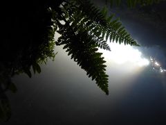 -怀托摩萤火虫洞