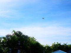 -东姑阿都拉曼海洋公园