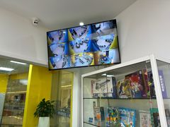 -贝乐少儿英语·全外教(滨江中心)