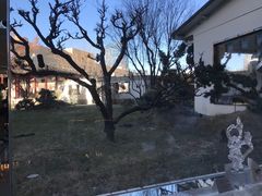 -九献创意菜·牛排馆(亮马河花园店)