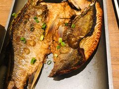 香酥海鲈鱼-渔家灯火(明湖店)