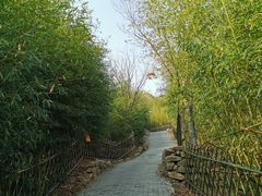 -竹子庵公园